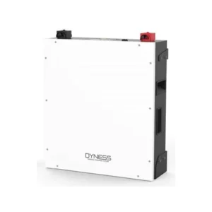 5.12KWH DYNESS Lithium Battery BX51100(51.2V100AH )